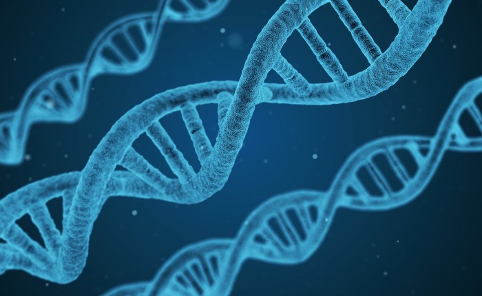 Is DNA Based Healthcare Worth the Risk?